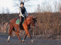 IMG-2161-026